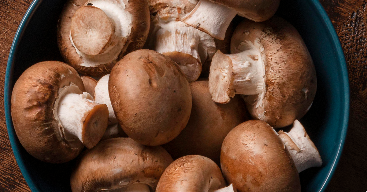 Shiitake Mushroom Recipes