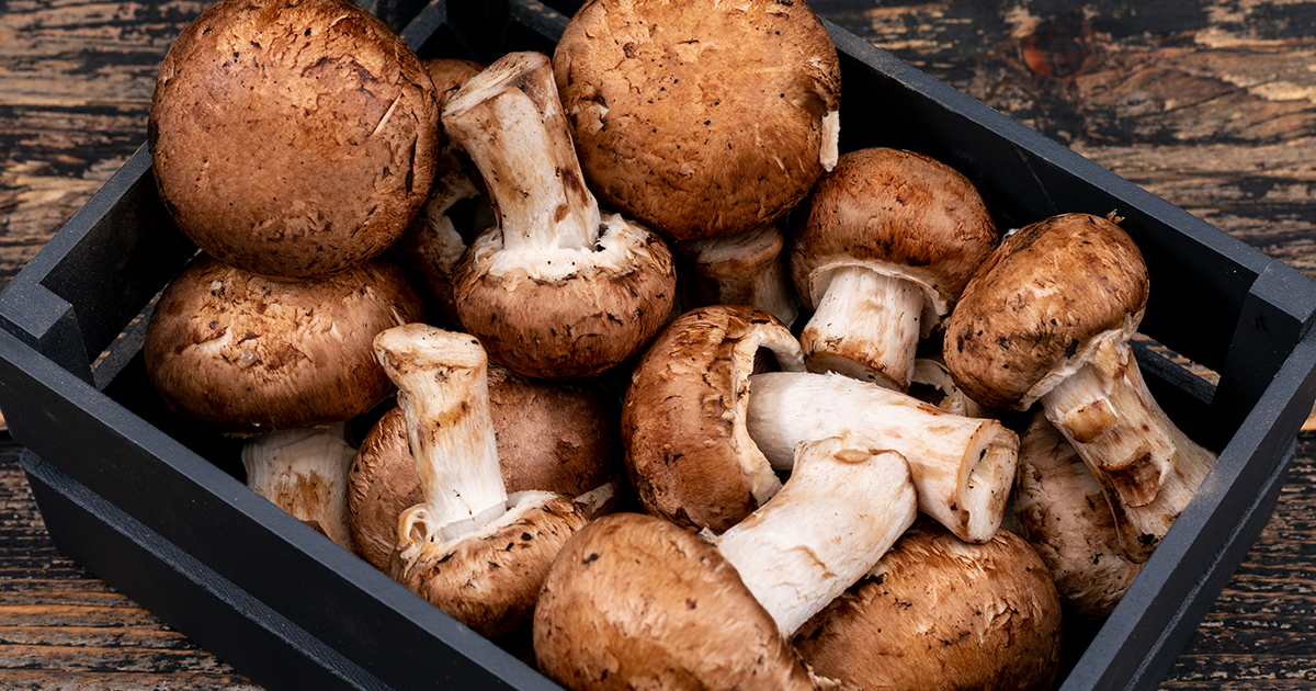 Shiitake Mushroom Soup
